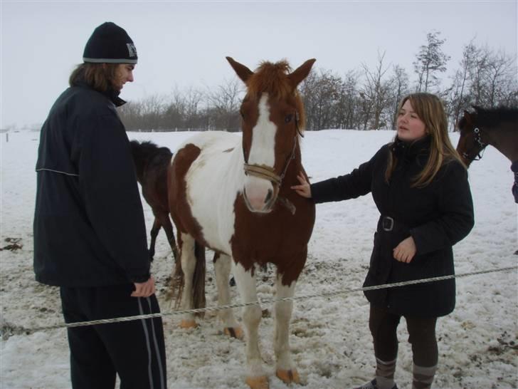 Pinto indi<33(solgt) - **NYT** der er hun jo .. hvorfor sår hun og svifter med noget blåt ? hhun er da lidt mærkelig ! <33 :b billede 17