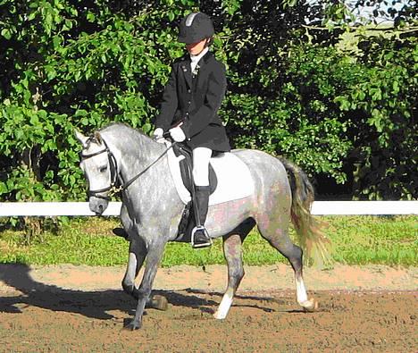 Welsh Pony (sec B) Lyngvejens Kikki <´3 *Solgt* -  (8)  Rider volte i fuglebjerg billede 8