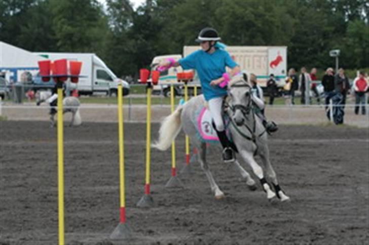 Anden særlig race Oliver*R.I.P -17/12 2007* - Mig og Tolle til Landsfinalerne på Vilhelmsborg 2007 billede 2