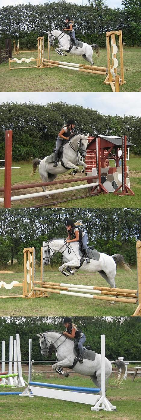 Anden særlig race Juwel "SOLGT :( " billede 18