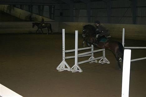 New Forest Roløkke Classic<3solgt:( - stævne på roskilde rideklub rider letridning derfor den dybe holdning og mine skæve skuldre ;P billede 5