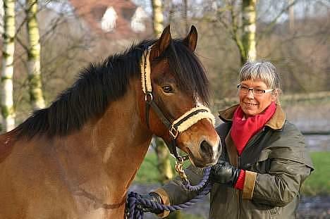 New Forest Roløkke Classic<3solgt:( - Classics flotte udtryk i hovedet <3og hans små bamse øre <333 billede 7