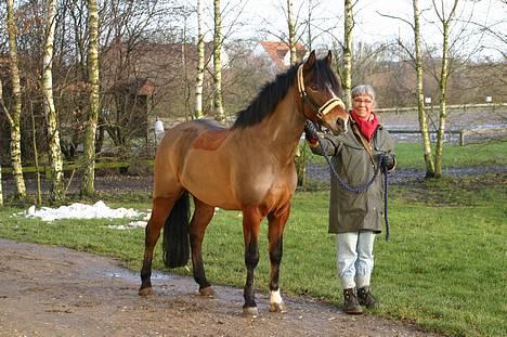 New Forest Roløkke Classic<3solgt:( - Classic i profil <3 smukke muskuløse Mandfolk !<3 billede 8