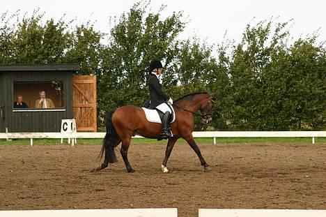 New Forest Roløkke Classic<3solgt:( - ^^^^^^^^^^^^<3igen billede 10