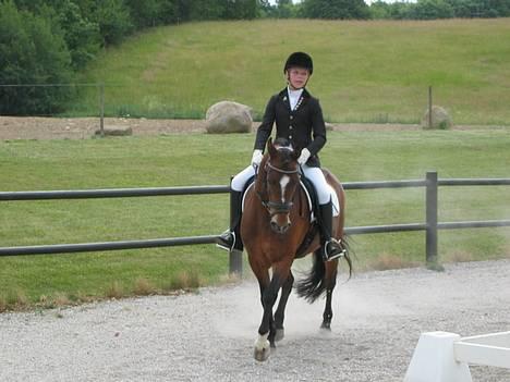 New Forest Roløkke Classic<3solgt:( - stævne <33333333333333333333 billede 13