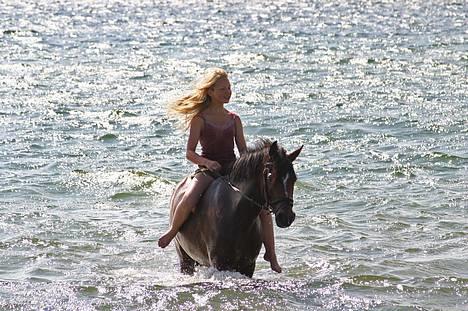 New Forest Roløkke Classic<3solgt:( - Søhesten og mie .. ;D billede 14