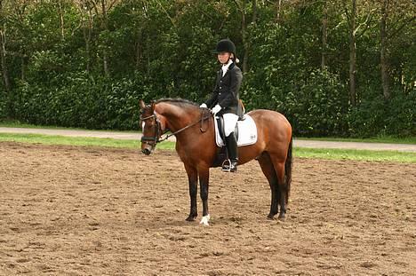 New Forest Roløkke Classic<3solgt:( - første LA4 classic var virkelig træt selvom vi kun havde startet den ene klasse fordi banen var så tung ! billede 15