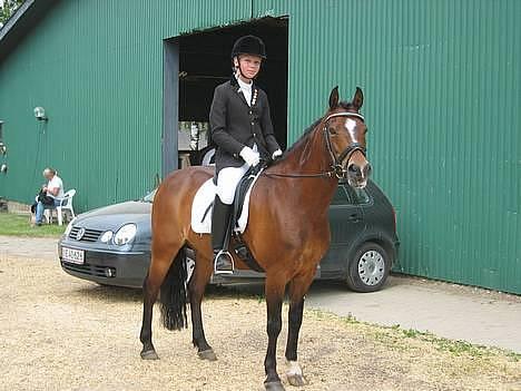 New Forest Roløkke Classic<3solgt:( - stævne Hvalsø :D billede 16