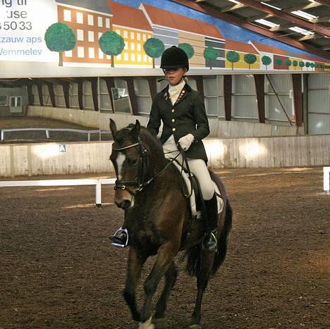 New Forest Roløkke Classic<3solgt:( - <3<3<3<3<3<3<3<3<3<3<3<3 billede 17