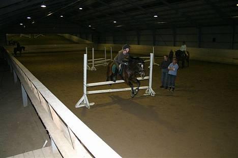 New Forest Roløkke Classic<3solgt:( - Springning Juhuuu :P billede 18