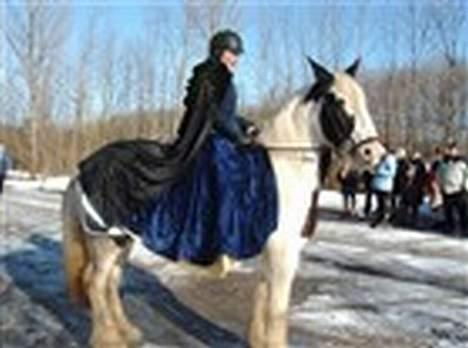 Tinker Lady Luna - Her venter vi på de andre, til fasterlavns ridning i 2006 billede 1