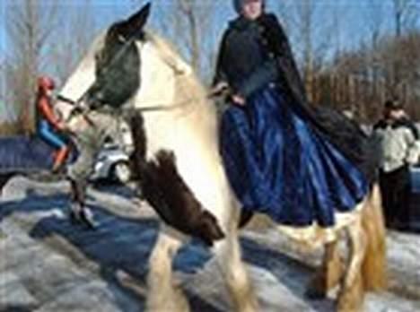 Tinker Lady Luna - Vi er lige kommet............hehehe.........<3  billede 7