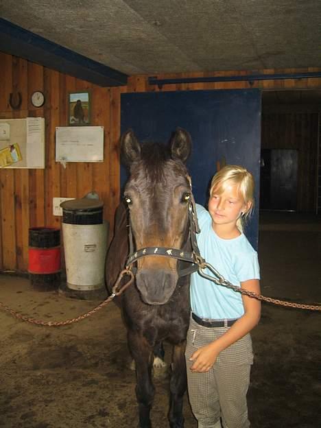 Dartmoor Bell*DØD* billede 8