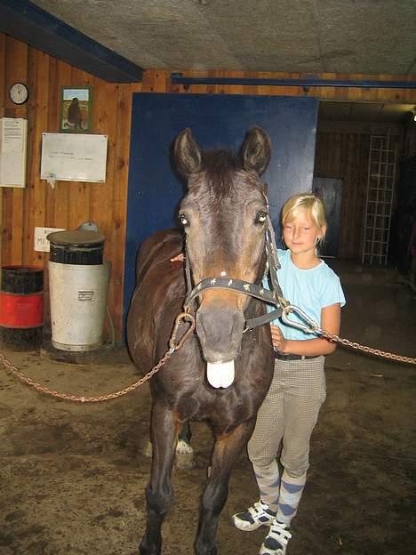 Dartmoor Bell*DØD* billede 9