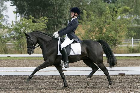 Anden særlig race Borneo 23- aflivet ;( - DM 2006 !! - savner ham så forfærdeligt meget !! ;-( billede 1