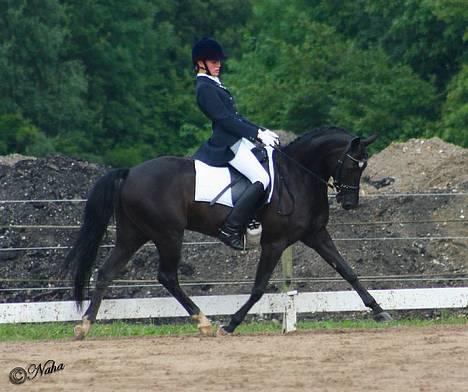 Anden særlig race Borneo 23- aflivet ;( - Versade i Prt ... billede 3