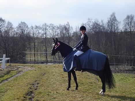 Anden særlig race Borneo 23- aflivet ;( - Hjæælp.. Den blæser lig ind i hovedet på mig.. :D billede 4