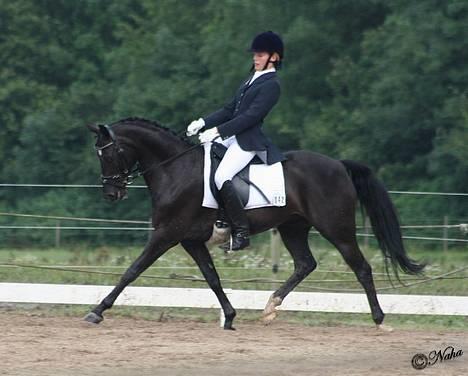 Anden særlig race Borneo 23- aflivet ;( - Øgning !! billede 6