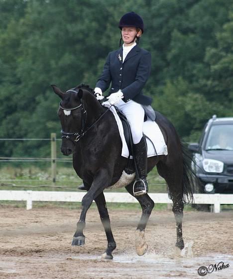 Anden særlig race Borneo 23- aflivet ;( - Øgning- sikke et ansigstudtryk :-/ !! billede 8
