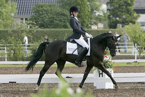 Anden særlig race Borneo 23- aflivet ;( - DM 2006 !! billede 10