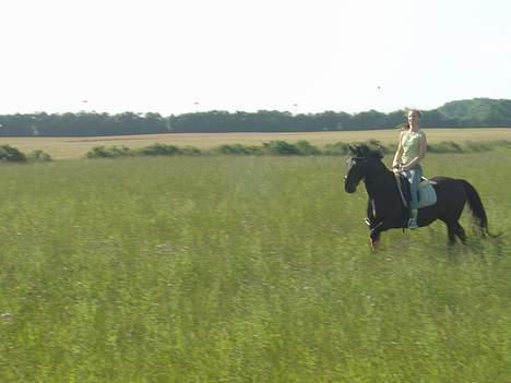 Anden særlig race  Miss Wendy <3  - Galop ! billede 7