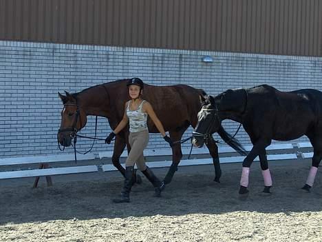 Holstener Matell - Matell & lille Oktober <3 ( emma i midten :P ) billede 16