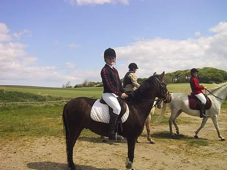 Anden særlig race Jaco * i miss you dear * - Jaco og mig til forårs Jagten på Langeland (: billede 1