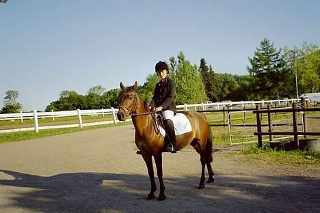 Anden særlig race Jaco * i miss you dear * - Jaco og jeg til klubstævne på MFR billede 3