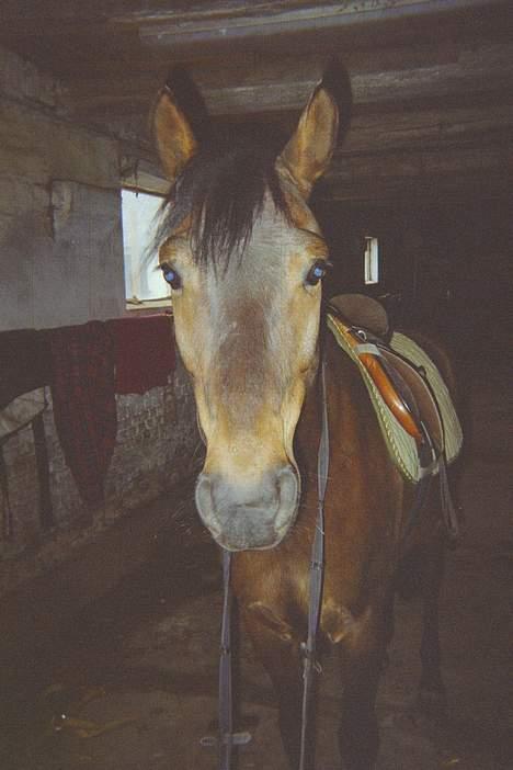 Anden særlig race Jaco * i miss you dear * - " Hey . Hvem er hende der ?? " billede 8