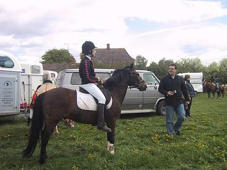 Anden særlig race Jaco * i miss you dear * - Mein pferd und ich <33 billede 11