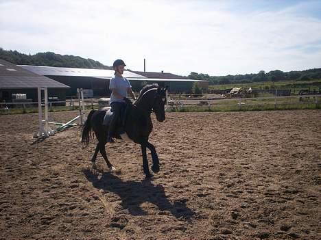 Anden særlig race Borneo 23- aflivet ;( - Wow.. super galop :) billede 15