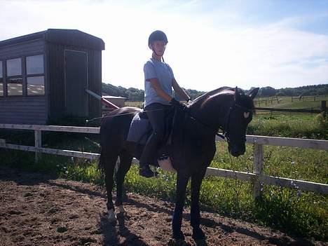 Anden særlig race Borneo 23- aflivet ;( - Parade !! billede 16