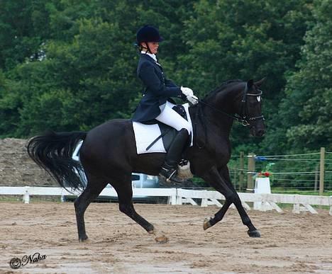 Anden særlig race Borneo 23- aflivet ;( - Galop i Prt... billede 18