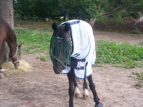 Anden særlig race Borneo 23- aflivet ;( - Hov, hvad var det som bevægede sig ?!? billede 19