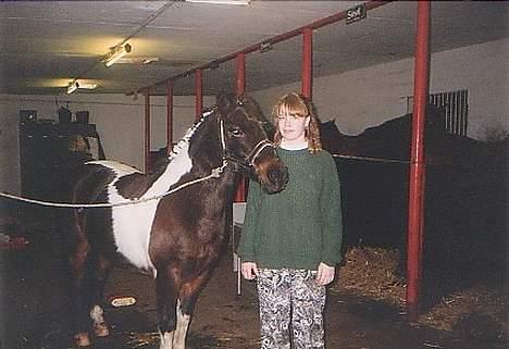 Islænder Prinds - sidste stævne..... neeej jeg er da ikke for stor til ham. ingen fornægtelse her billede 2