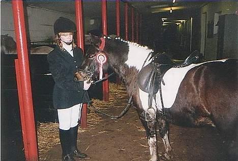 Islænder Prinds - han er bare så go billede 4