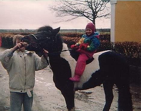 Islænder Prinds - prinds skulle også smile billede 6