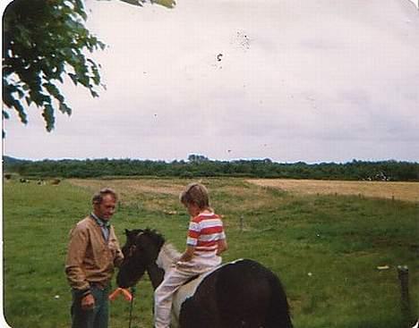 Islænder Prinds - dagen efter jeg fik ham, jeg fik lige lov til at sidde lidt, hvis jeg sad stille billede 8