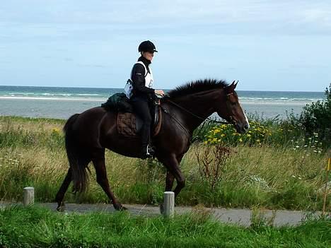 Oldenborg Camilla Mellergård - Mille og jeg - Distanceridning NDRK 2005 billede 19