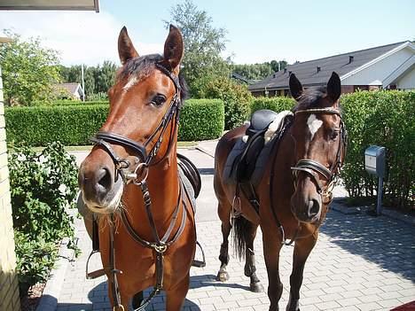 Oldenborg Sille billede 11