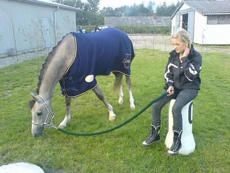 DSP Melanie Melody - Melanie og jeg <3 til championat i ringsted . vi grasser lidt , sammen med macado og maja . mens vi venter på transporten . hehe billede 15