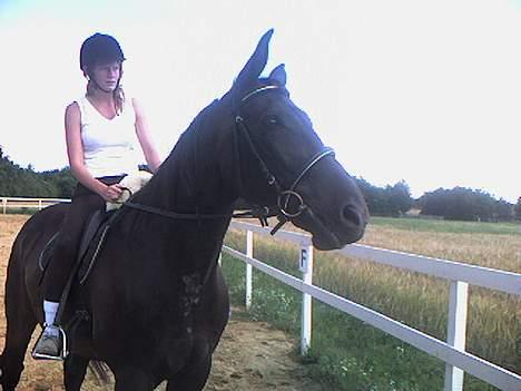 Oldenborg Patrik Bakke - Jeg gider alså ikke mere billede 1