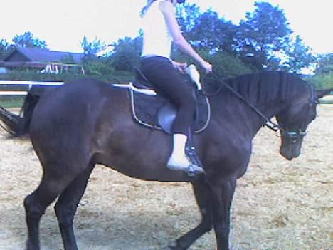 Oldenborg Patrik Bakke - Jeg forsøger da at gå pænt billede 2