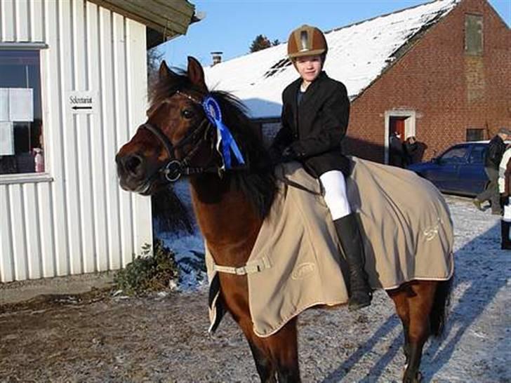 Anden særlig race Urt ¤solgt&savnet¤ - Velkommen til søde Urts profil. Læg meget gerne en kommentar til ham. Stævne i Hylke har fået en 2. plads i LB (80 cm.) billede 1