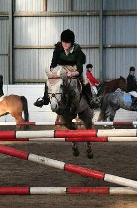 Connemara Fantacy *solgt* - 110 cm. billede 19