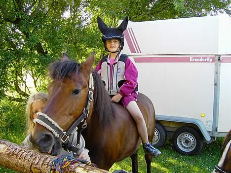 Anden særlig race Urt ¤solgt&savnet¤ - Tosser :D billede 8