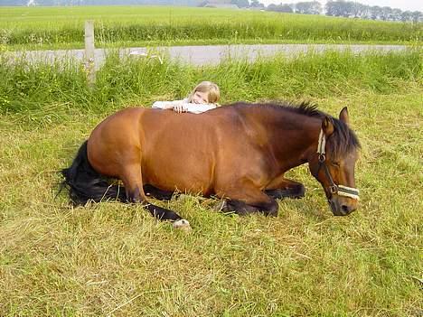 Anden særlig race Urt ¤solgt&savnet¤ - Hygger ;P billede 9