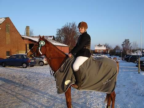 Anden særlig race Donna *solgt - en kold dag i december. men en 3plads varmer altid billede 7