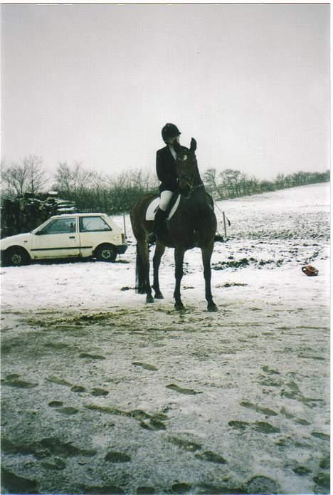 Anden særlig race Tasiba - Tasiba og jeg til stævne på Stald Østergård billede 1