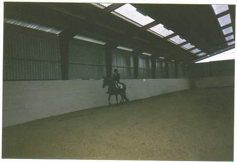 Anden særlig race Tasiba - Stævne på Stald Østergård billede 2